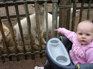 Baby goes to the zoo!