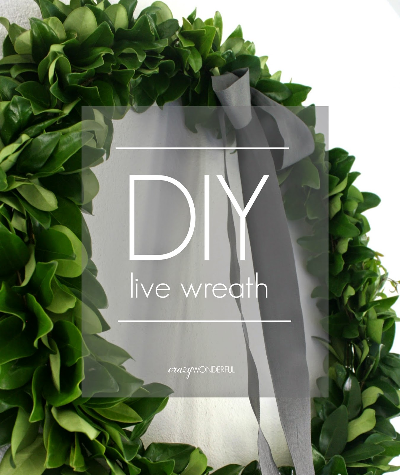 DIY live wreath